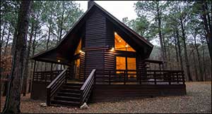 birdhouse lake cabin thumb